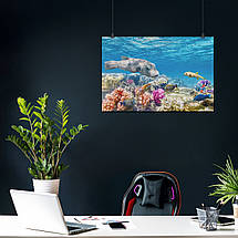 Плакат "Підводний світ, риби, кораловий риф", 40×60см, фото 3