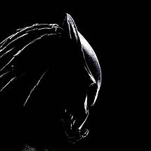 Плакат "Хижаки, Predators (2010)", 60×43см, фото 3