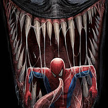 Плакат "Веном та Спайдермен, Venom, Spider-Man", 60×43см, фото 3