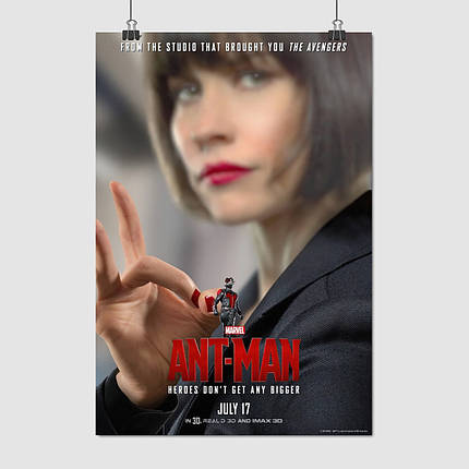 Плакат "Людина-мураха на плечі Хоуп ван Дайн (Еванджелін Ліллі), Ant-Man (2015)", 60×41см, фото 1