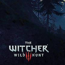 Плакат "Відьмак. Сутінки та гори, Witcher", 35×60см, фото 3