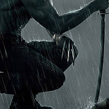 Плакат "Росомаха, Логан з мечем на даху, Wolverine", 60×41см, фото 3