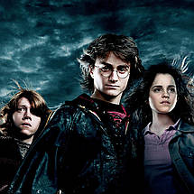 Плакат "Гаррі Поттер і кубок вогню, Harry Potter", 60×43см, фото 3