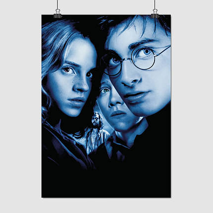 Плакат "Гаррі Поттер і кубок вогню, Harry Potter", 60×43см, фото 1
