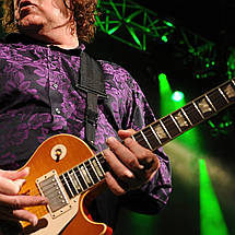 Плакат "Гері Мур, гітарист, Gary Moore", 43×60см, фото 3