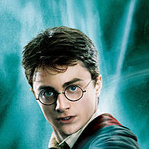 Плакат "Гаррі Поттер та орден фенікса, Harry Potter", 60×43см, фото 3