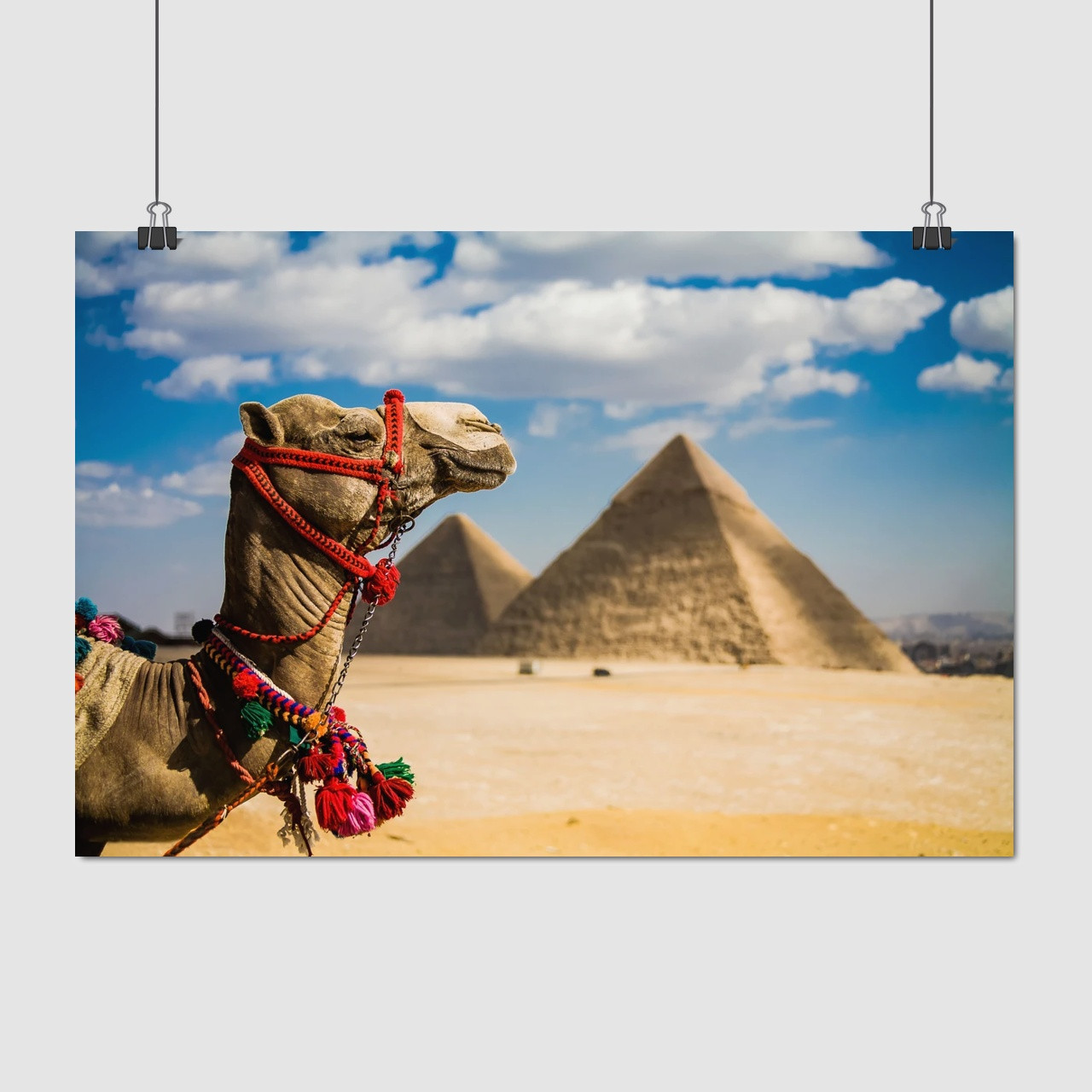 Плакат "Єгипет, верблюд на тлі пірамід", 40×60см