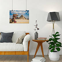 Плакат "Єгипет, верблюд на тлі пірамід", 40×60см, фото 4