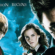 Плакат "Гаррі Поттер та орден фенікса, Harry Potter", 60×43см, фото 3