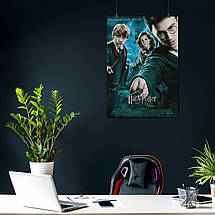 Плакат "Гаррі Поттер та орден фенікса, Harry Potter", 60×43см, фото 4