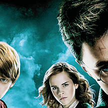 Плакат "Гаррі Поттер та орден фенікса, Harry Potter", 60×43см, фото 3