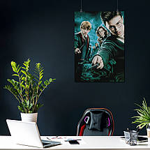Плакат "Гаррі Поттер та орден фенікса, Harry Potter", 60×43см, фото 4