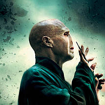 Плакат "Гаррі Поттер і смертельні реліквії, Harry Potter", 60×43см, фото 2