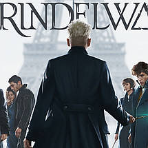 Плакат "Фантастичні звірі, Fantastic Beasts", 60×40см, фото 3