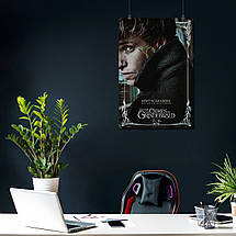 Плакат "Фантастичні звірі, Ньютон Скамандер, Fantastic Beasts", 60×41см, фото 3