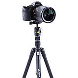 Штатив Vanguard Vesta TB 204AB (Vesta TB 204AB), фото 8