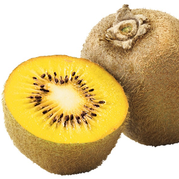 Ківі «Голд» 2 роки (самоплідний, жовтом'ясий)ОКС