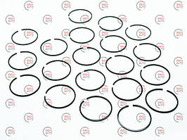 Кільця ПД (двигун пусковий)