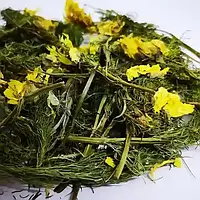 Адоніс весняний трава (горицвіт) 1000 г