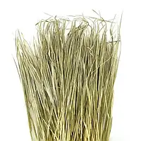 Зубрівка трава (лядник, чаполоч) 1000 г