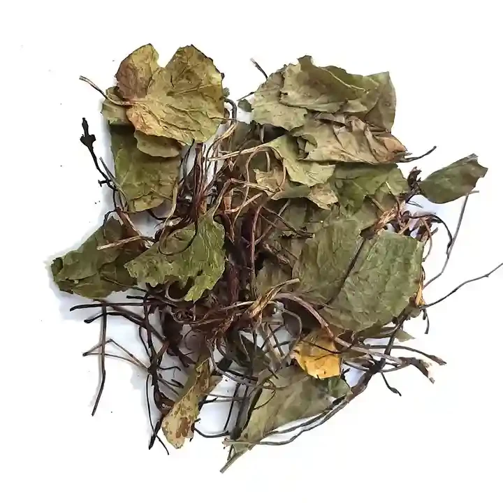 Грушанка круглолиста трава 1000 г, фото 1