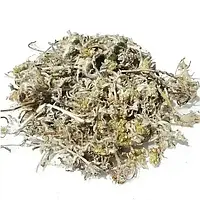 Сушениця болотяна трава 1000 г