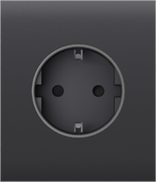 CenterCover (basic) [type F] graphite Центральна панель для вбудованої розетки, фото 1