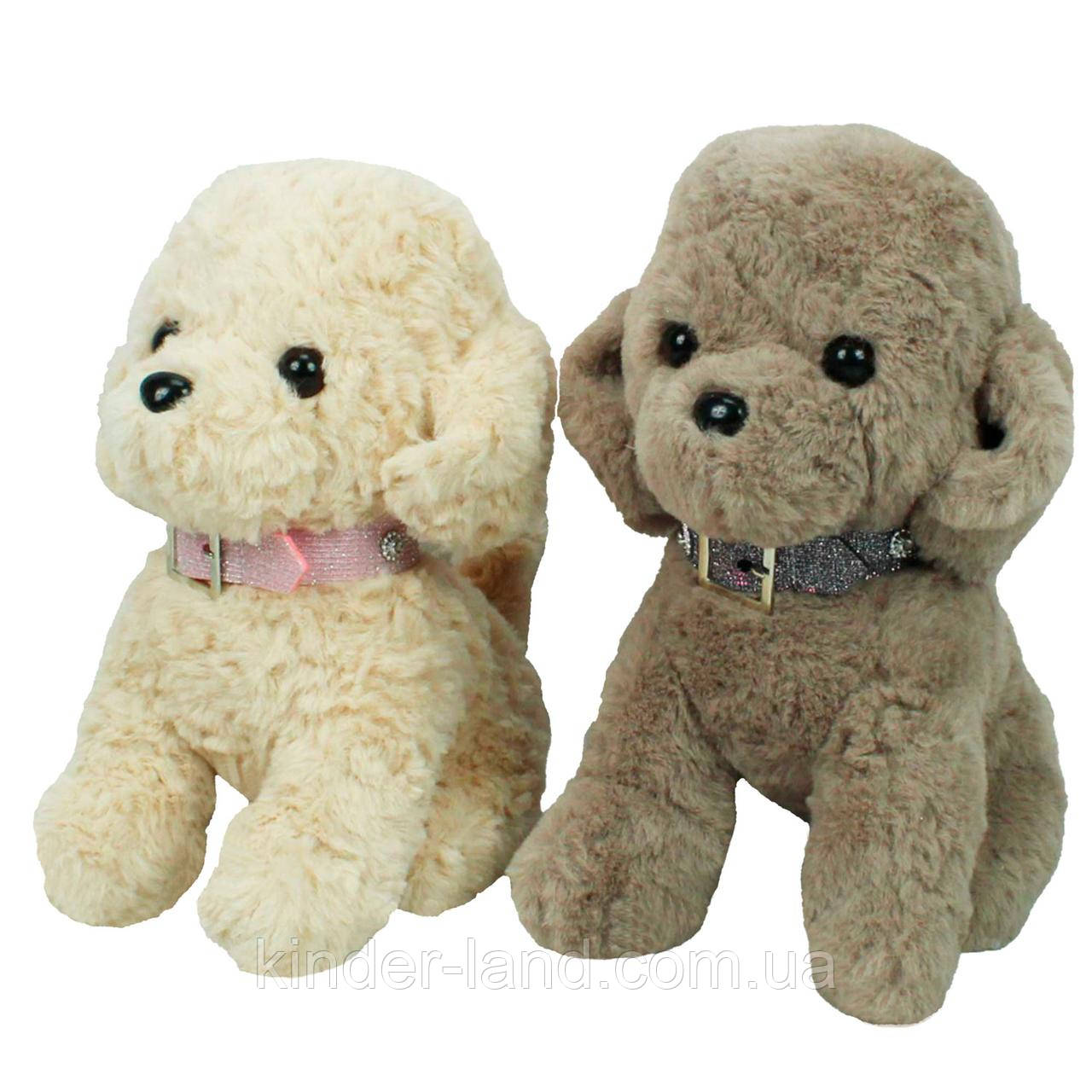 М’яка іграшка, собачка Мальтіпу, 23 см, фото 1