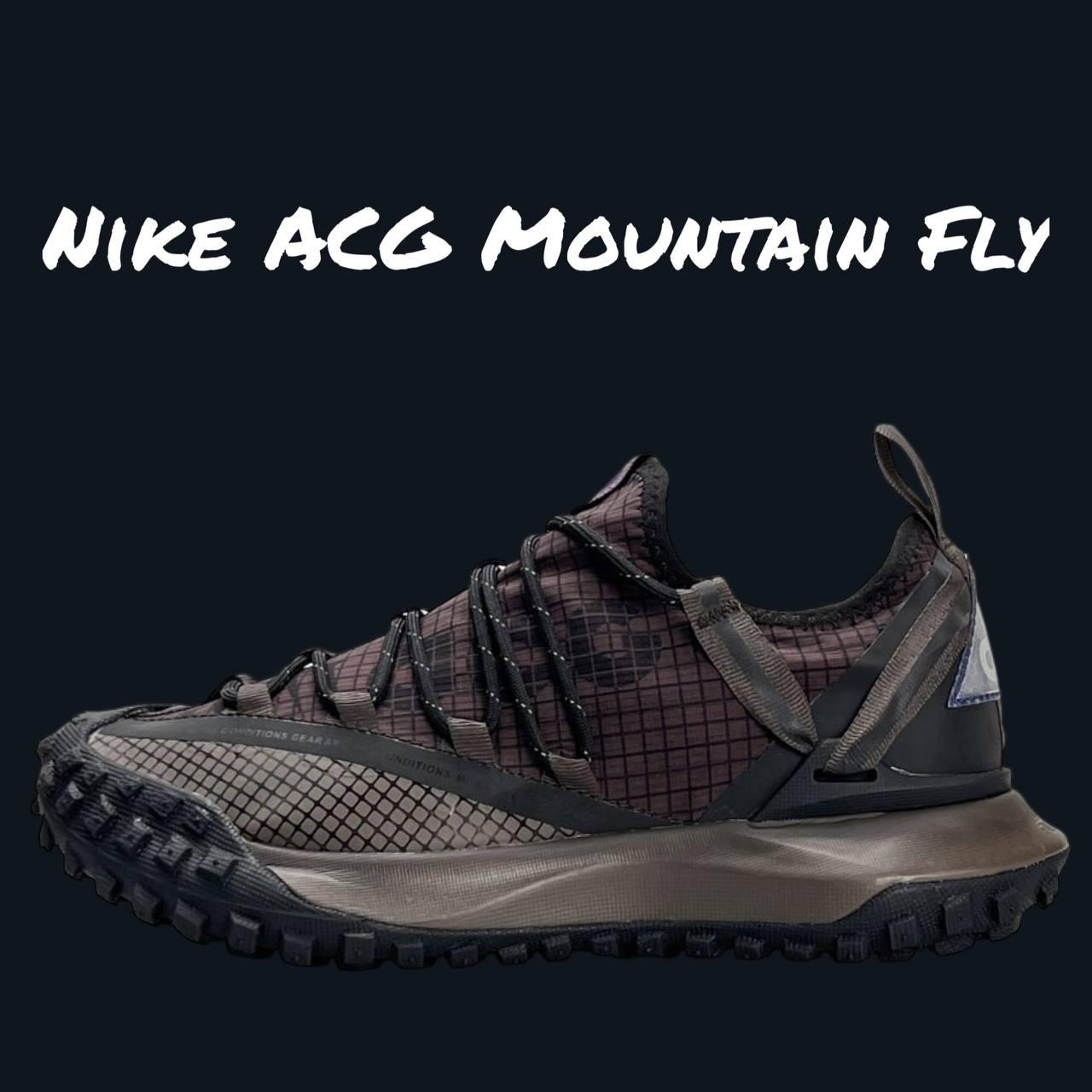 Чоловічі текстильні кросівки Nike ACG Mountain Fly Low Brown, текстильні кеди Найк коричневі 41
