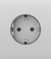 CenterCover (basic) [type F] white Центральна панель для вбудованої розетки