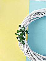 Насадка самшиту дрібний зелений 5,5 см