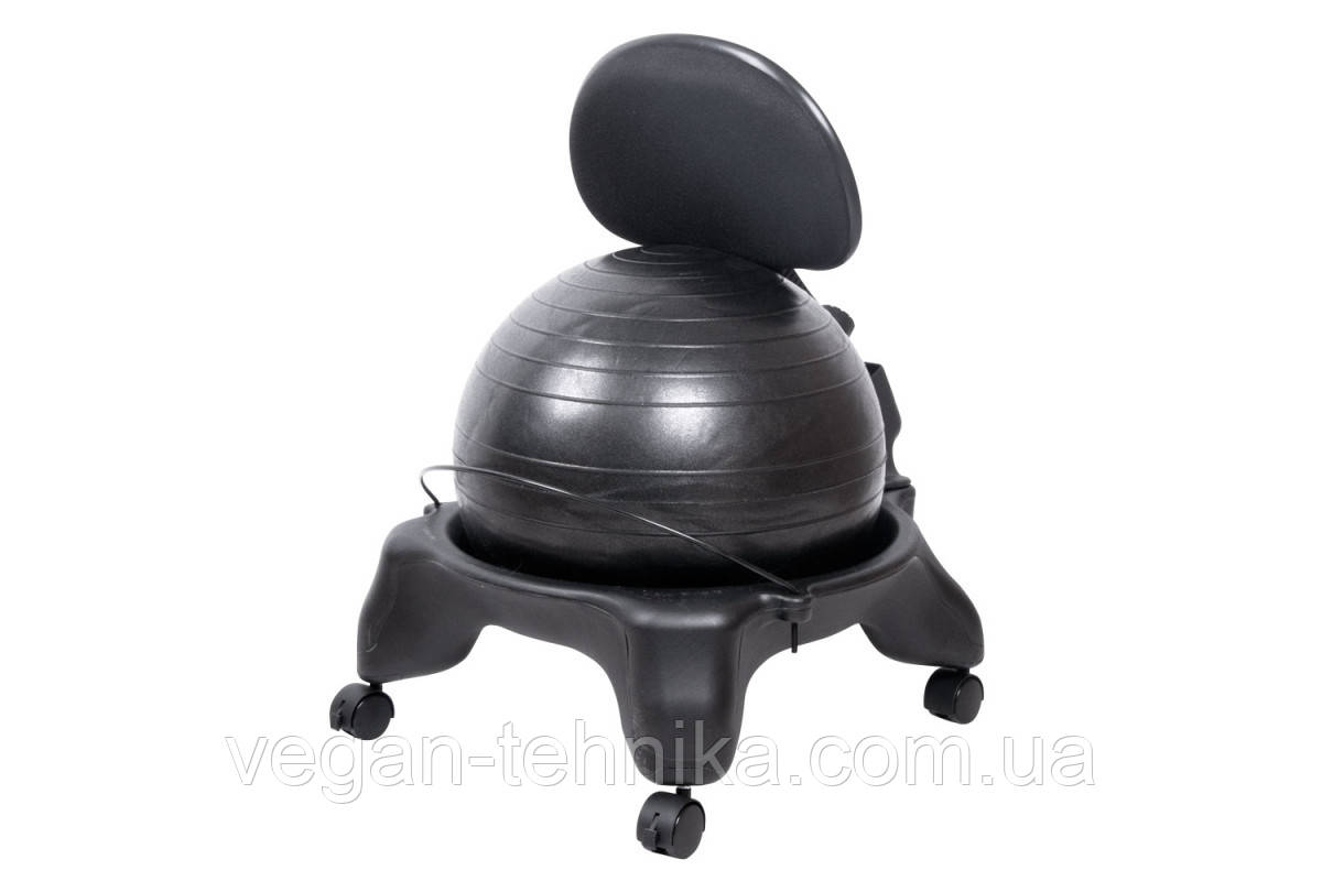 Реабілітаційне крісло з м'ячем inSPORTline G-Chair
