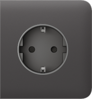 SideCover (basic) [type F] grey Бічна панель для вбудованої розетки, фото 1