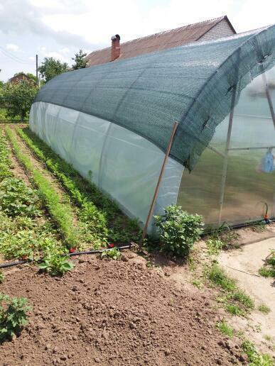 Затіняюча сітка для теплиць, парників, навісів, парканів, 60 % затінення, ширина 2 м