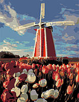 Набір-стандарт, техніка акриловий живопис за номерами, Старий млин , ROSA START