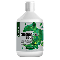Хлорофіл рідкий Sporter Chlorophyll 100mg liquid - 450 мл (45 порцій)