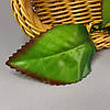Лист штучний під троянду 3-ка, 19 см - зелений з коричневим, фото 2