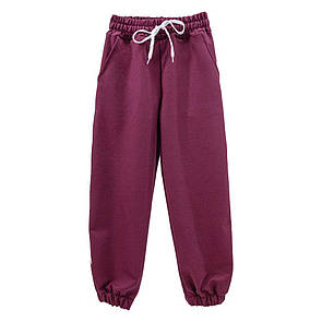 Підліткові спортивні штани з лампасами для дівчинки двунитка