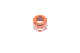 Сальник клапана Камаз Viton (RIDER) RD.740.1007262.V