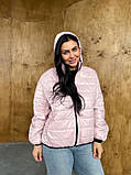 Стильна стьобана жіноча демісезонна коротка куртка утеплена ''Роббі'', фото 6