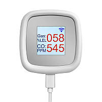 Wifi датчик витоку газу Nectronix GLD-20 з екраном і сиреною (101143)