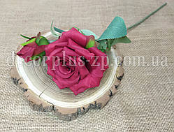 Гілка троянди з бутоном. Червона