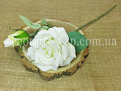 Гілка троянди з бутоном. Біла