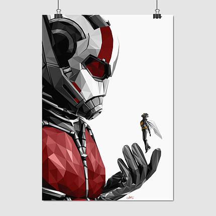 Плакат "Людина-мураха тримає Осу, Ant-Man and the Wasp", 60×43см, фото 1