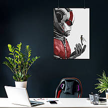 Плакат "Людина-мураха тримає Осу, Ant-Man and the Wasp", 60×43см, фото 4
