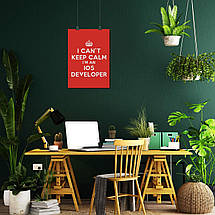 Плакат "I can't keep calm, I'm an iOS developer", 60×43см, фото 5