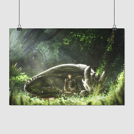 Плакат "Як приборкати дракона, How to Train Your Dragon", 40×60см, фото 1