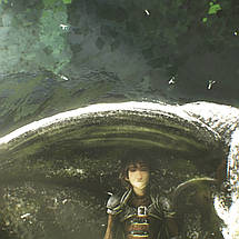 Плакат "Як приборкати дракона, How to Train Your Dragon", 40×60см, фото 3