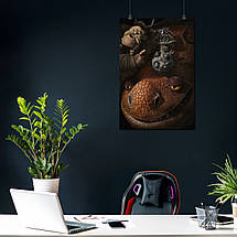 Плакат "Як приборкати дракона, How to Train Your Dragon", 60×41см, фото 3