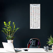 Плакат "Переможці перегонів 24 HOURS of LE MANS 1923-2015 років", 60×25см, фото 3